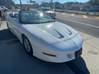 1995 Pontiac Firebird for sale in Michigan (ID-107026)
