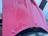 1995 Pontiac Firebird for sale in Michigan (ID-123159)