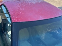 1995 Pontiac Firebird for sale in Michigan (ID-123159)