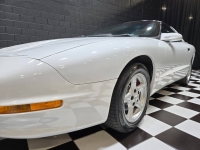 1995 Pontiac Firebird for sale in Addison, Illinois (ID-146864)