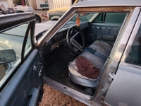 1996 Buick Skylark for sale in Michigan (ID-156041)