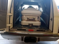 1996 Cadillac Hearse for sale in Michigan (ID-161356)