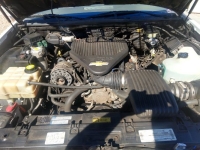 1996 Cadillac Hearse for sale in Michigan (ID-161356)