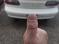 1996 Chevrolet Camaro for sale in Michigan (ID-135874)