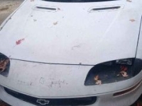 1996 Chevrolet Camaro for sale in Michigan (ID-136107)