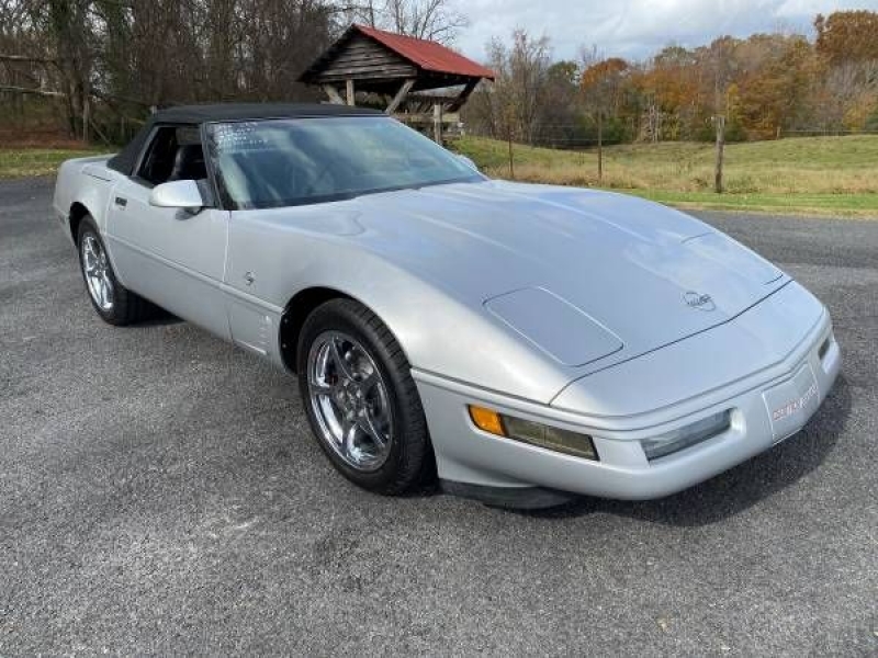 1996 Chevrolet Corvette for sale in Michigan (ID-108652)