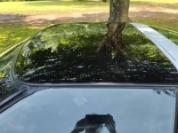 1996 Chevrolet Corvette for sale in Michigan (ID-117233)