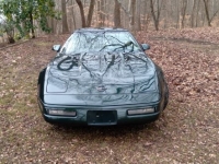 1996 Chevrolet Corvette for sale in Michigan (ID-120358)