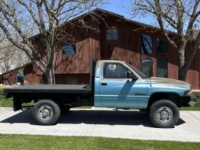 1996 Dodge Ram for sale in Michigan (ID-142236)
