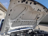 1996 Ford F150 for sale in Michigan (ID-136642)