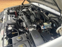 1996 Ford F150 for sale in Michigan (ID-137523)