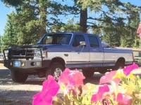 1996 Ford F350 for sale in Michigan (ID-146424)