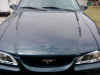 1996 Ford Mustang for sale in Michigan (ID-115420)