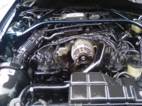 1996 Ford Mustang for sale in Michigan (ID-115420)