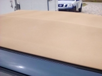 1996 Ford Mustang for sale in Michigan (ID-115420)