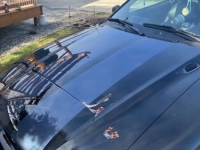 1996 Ford Mustang for sale in Michigan (ID-140763)