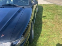 1996 Ford Mustang for sale in Michigan (ID-140763)