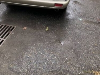 1996 Jaguar XJS for sale in Michigan (ID-112613)
