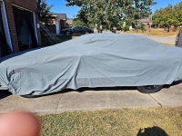 1996 Pontiac Firebird for sale in Michigan (ID-136941)