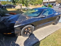 1996 Pontiac Firebird for sale in Michigan (ID-136941)
