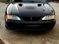 1997 Ford Mustang for sale in Michigan (ID-136067)