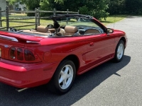 1997 Ford Mustang GT for sale in Michigan (ID-130930)