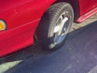 1997 Ford Mustang GT for sale in Michigan (ID-132574)