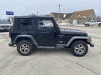 1997 Jeep Wrangler for sale in Michigan (ID-113758)