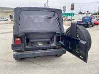 1997 Jeep Wrangler for sale in Michigan (ID-113758)