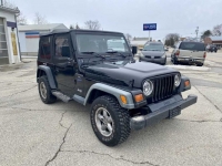 1997 Jeep Wrangler for sale in Michigan (ID-113758)