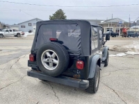 1997 Jeep Wrangler for sale in Michigan (ID-113758)