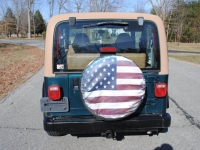 1997 Jeep Wrangler for sale in Michigan (ID-115504)