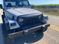 1997 Jeep Wrangler for sale in Michigan (ID-134208)