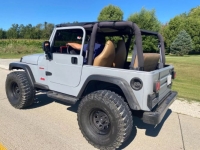 1997 Jeep Wrangler for sale in Michigan (ID-134208)