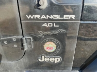 1997 Jeep Wrangler for sale in Michigan (ID-138741)