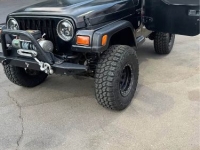1997 Jeep Wrangler for sale in Michigan (ID-138741)