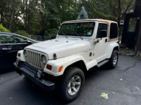 1997 Jeep Wrangler for sale in Michigan (ID-139133)
