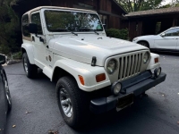1997 Jeep Wrangler for sale in Michigan (ID-139133)