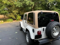 1997 Jeep Wrangler for sale in Michigan (ID-139133)