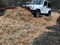 1997 Jeep Wrangler for sale in Michigan (ID-139133)