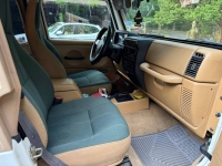 1997 Jeep Wrangler for sale in Michigan (ID-139133)