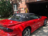 1997 Pontiac Trans Am for sale in Michigan (ID-133318)