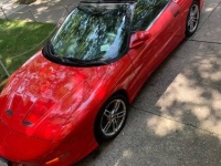 1997 Pontiac Trans Am for sale in Michigan (ID-133318)