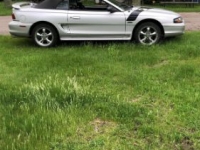 1998 Ford Mustang for sale in Michigan (ID-131658)