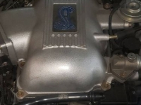 1998 Ford Mustang for sale in Michigan (ID-131719)