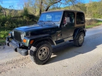 1998 Jeep Wrangler for sale in Michigan (ID-131693)