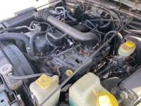 1998 Jeep Wrangler for sale in Michigan (ID-131693)