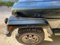 1998 Jeep Wrangler for sale in Michigan (ID-131693)