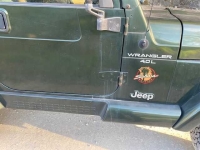 1998 Jeep Wrangler for sale in Michigan (ID-131693)
