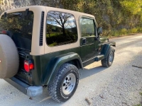 1998 Jeep Wrangler for sale in Michigan (ID-131693)